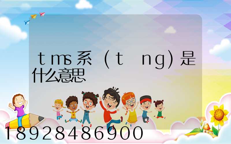 tms系統(tǒng)是什么意思