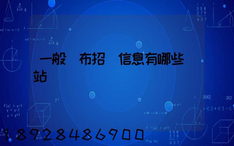 一般發布招標信息有哪些網站