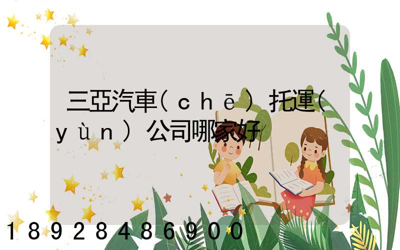 三亞汽車(chē)托運(yùn)公司哪家好