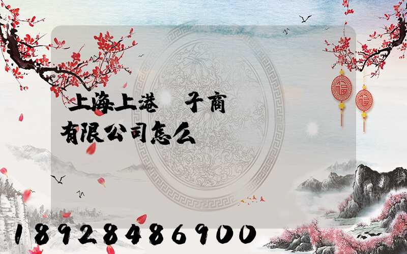 上海上港電子商務(wù)有限公司怎么樣