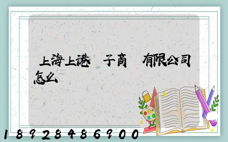 上海上港電子商務有限公司怎么樣