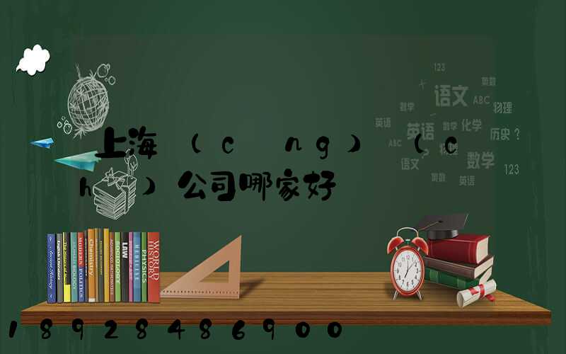 上海倉(cāng)儲(chǔ)公司哪家好