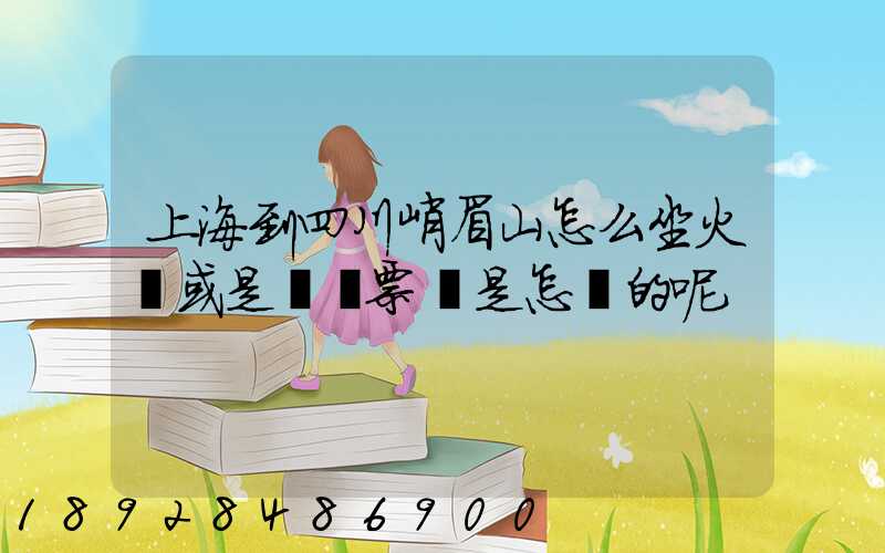 上海到四川峨眉山怎么坐火車或是飛機票價是怎樣的呢
