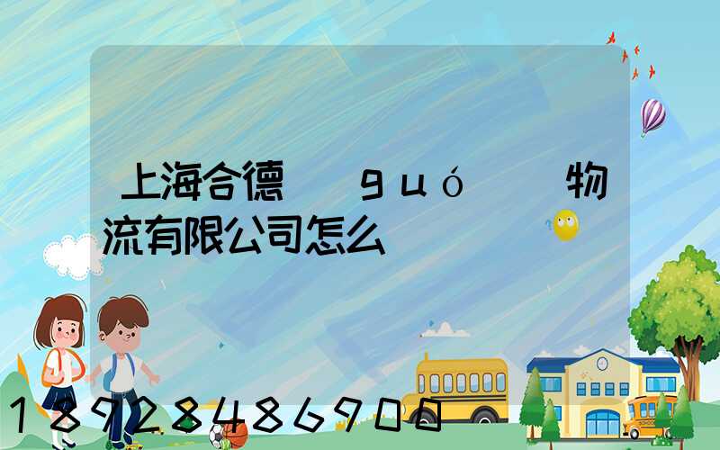 上海合德國(guó)際物流有限公司怎么樣