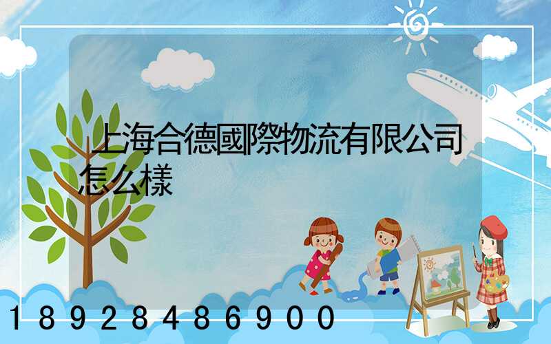 上海合德國際物流有限公司怎么樣