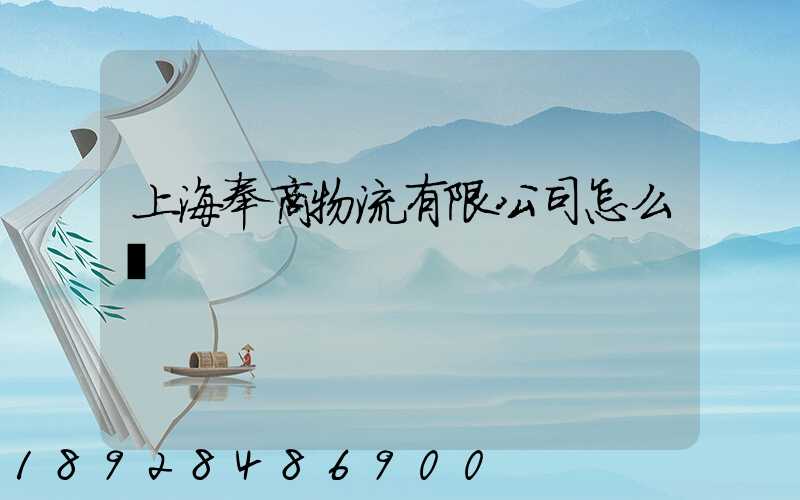 上海奉商物流有限公司怎么樣
