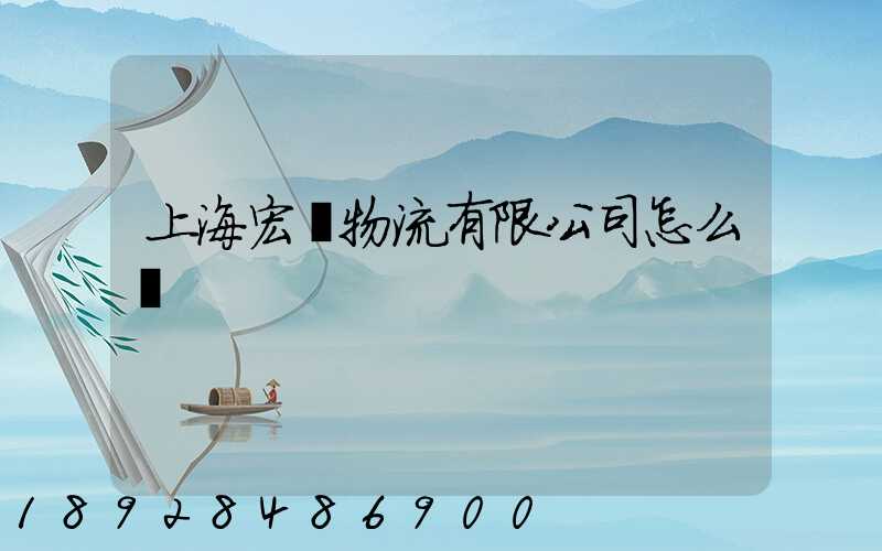 上海宏紹物流有限公司怎么樣