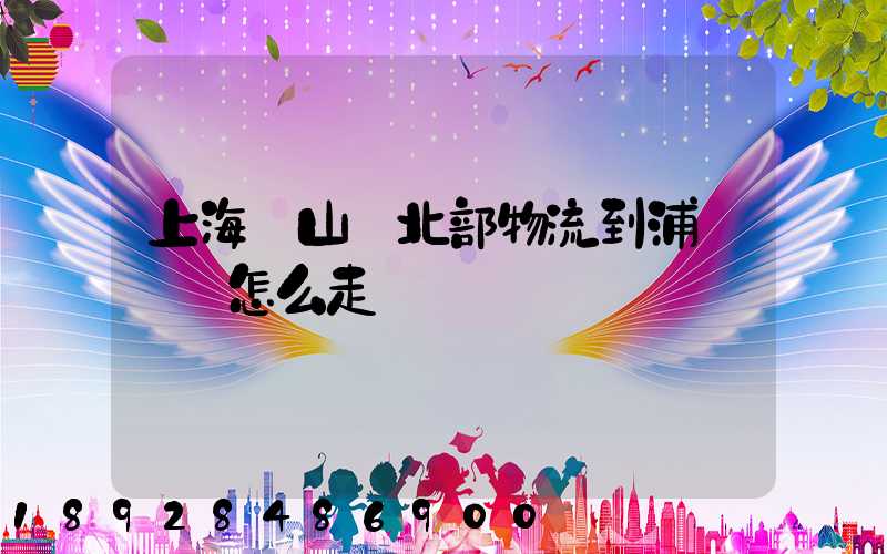 上海寶山區北部物流到浦東機場怎么走