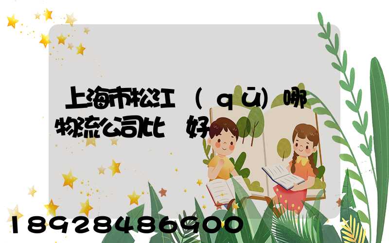 上海市松江區(qū)哪個物流公司比較好