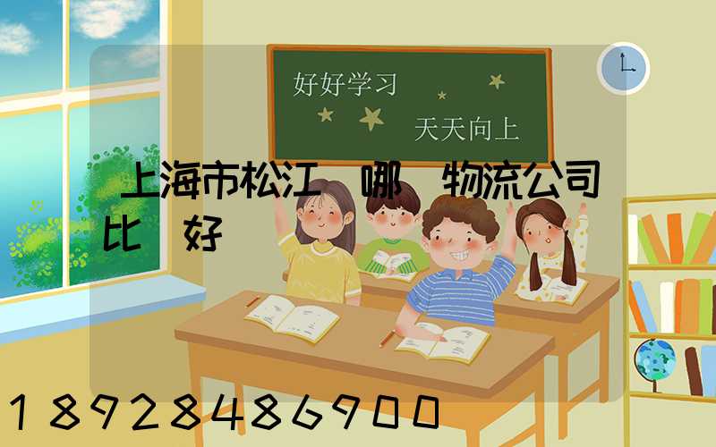 上海市松江區哪個物流公司比較好