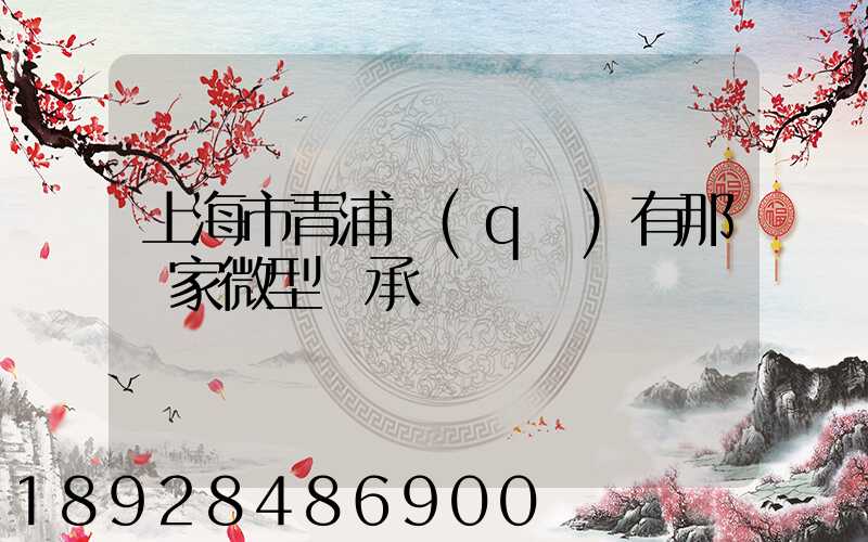 上海市青浦區(qū)有那幾家微型軸承廠