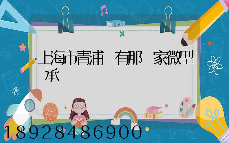 上海市青浦區有那幾家微型軸承廠