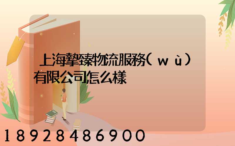 上海摯臻物流服務(wù)有限公司怎么樣