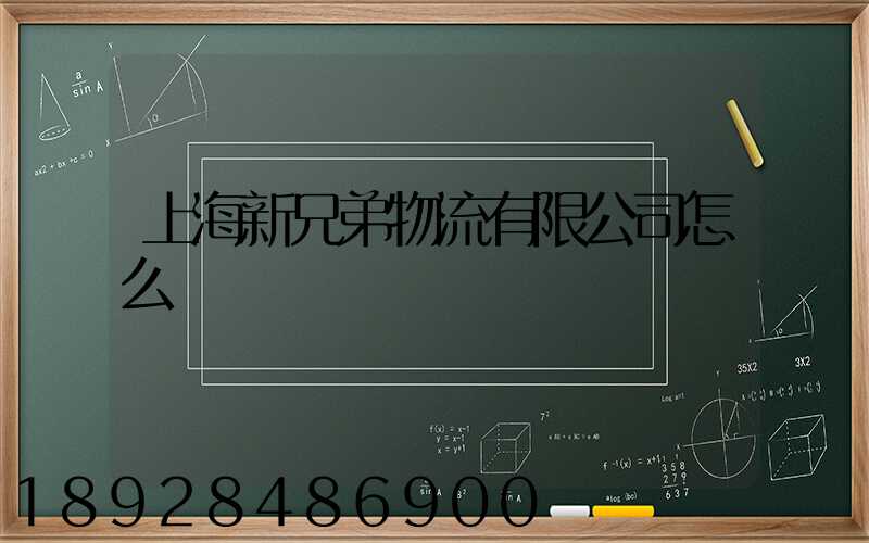 上海新兄弟物流有限公司怎么樣