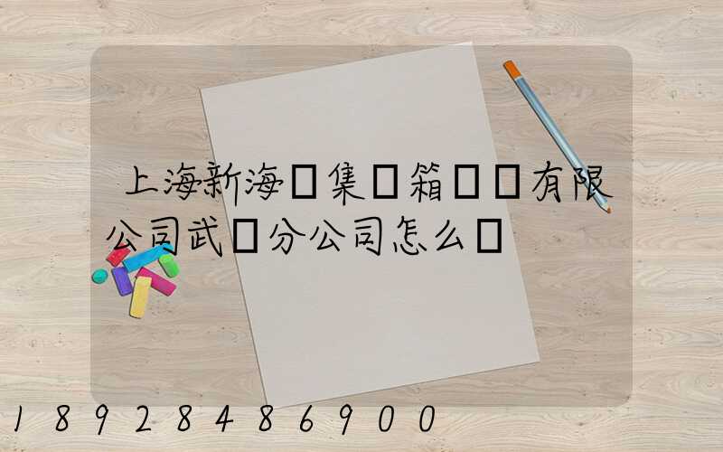 上海新海豐集裝箱運輸有限公司武漢分公司怎么樣