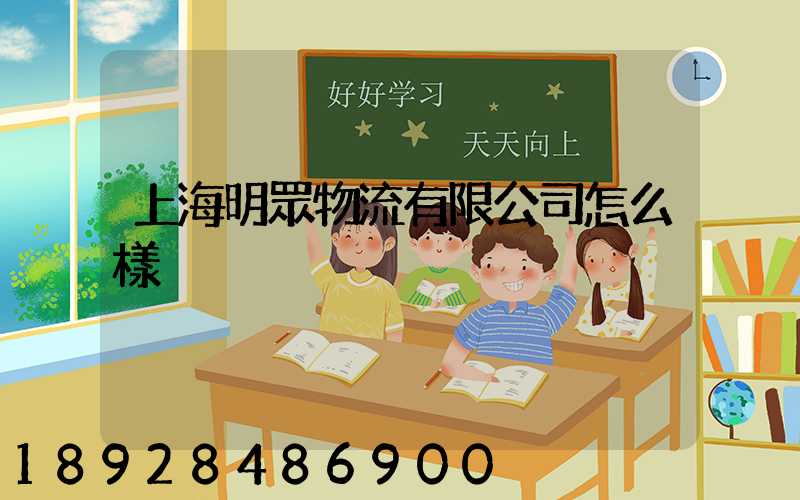上海明眾物流有限公司怎么樣