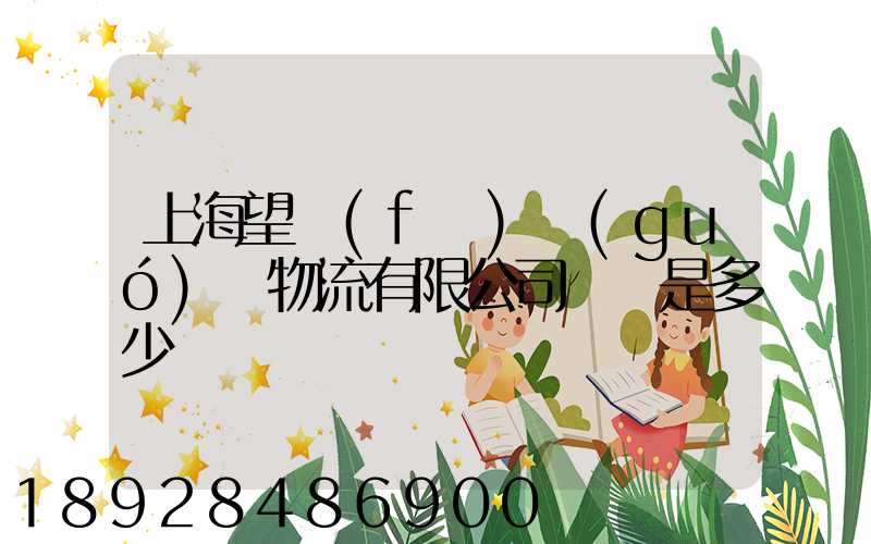 上海望發(fā)國(guó)際物流有限公司電話是多少