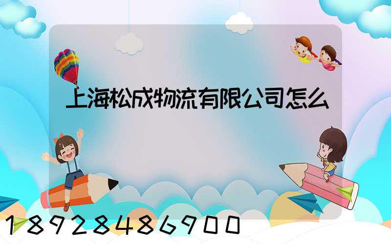 上海松成物流有限公司怎么樣