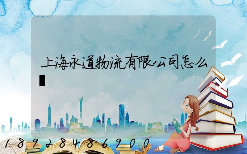 上海永道物流有限公司怎么樣