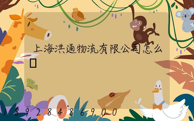 上海洪通物流有限公司怎么樣