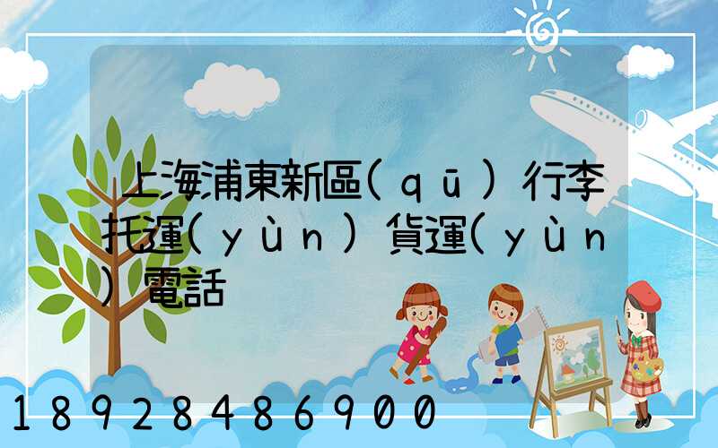 上海浦東新區(qū)行李托運(yùn)貨運(yùn)電話