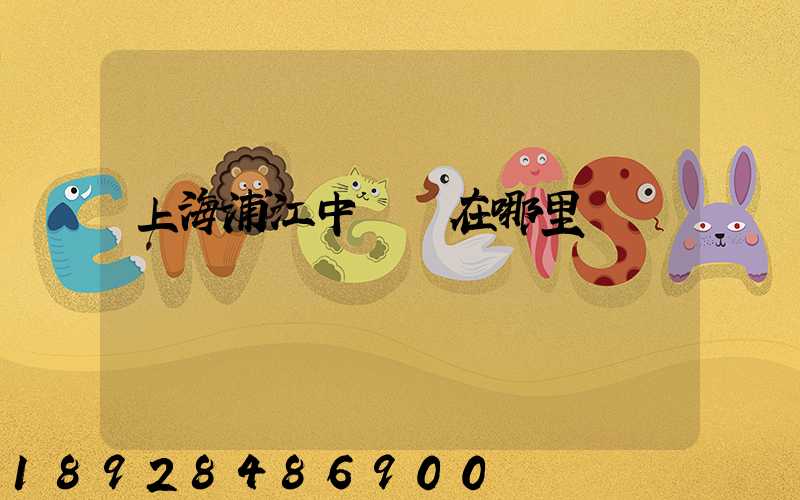 上海浦江中轉場在哪里