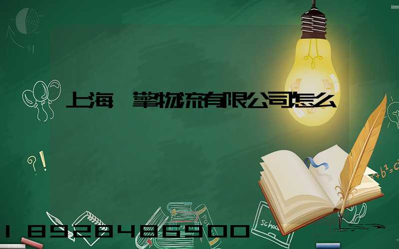 上海燦擎物流有限公司怎么樣