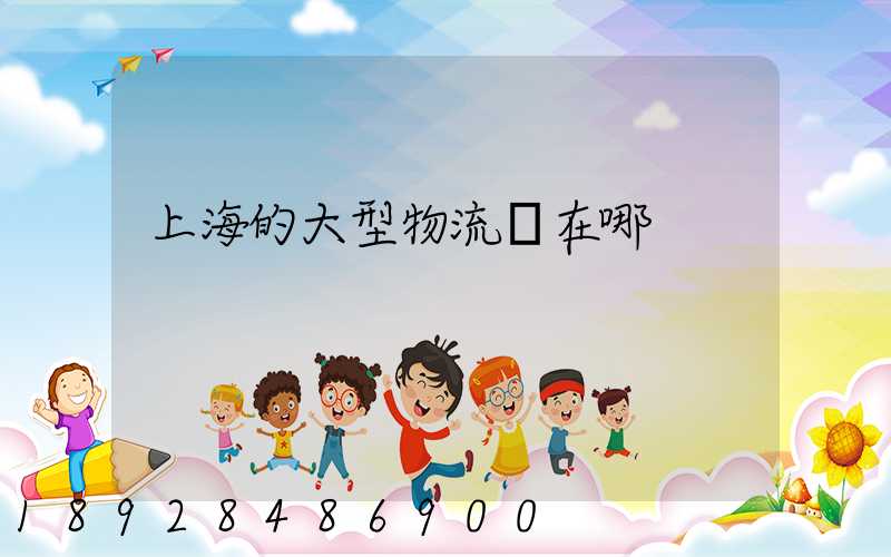 上海的大型物流園在哪