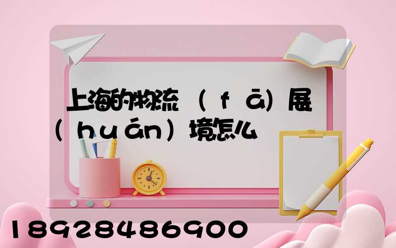 上海的物流發(fā)展環(huán)境怎么樣