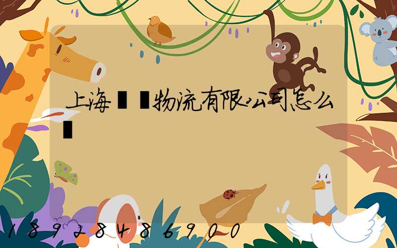 上海聯碩物流有限公司怎么樣