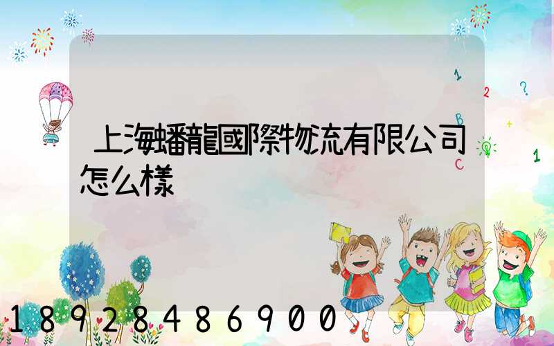 上海蟠龍國際物流有限公司怎么樣