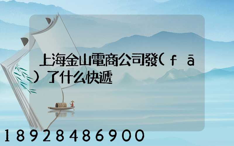 上海金山電商公司發(fā)了什么快遞