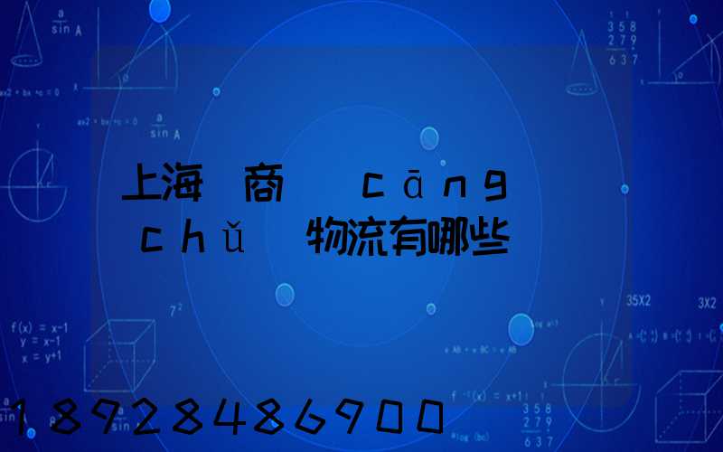上海電商倉(cāng)儲(chǔ)物流有哪些