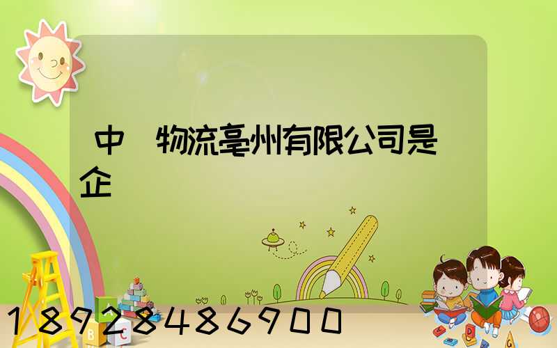 中國物流亳州有限公司是國企嗎