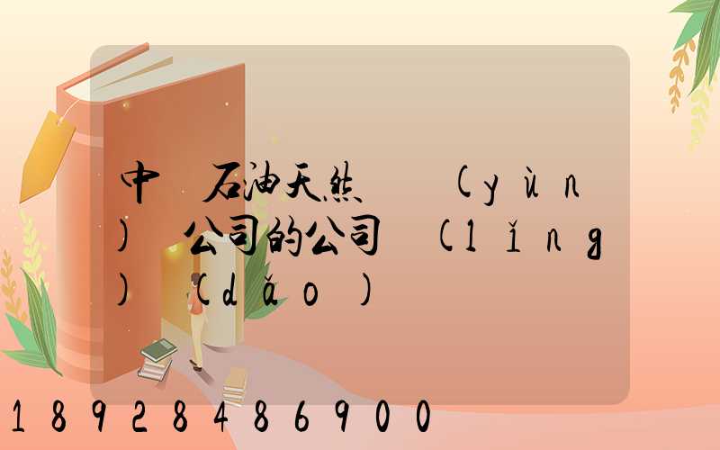 中國石油天然氣運(yùn)輸公司的公司領(lǐng)導(dǎo)