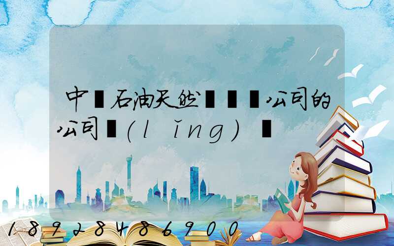 中國石油天然氣運輸公司的公司領(lǐng)導