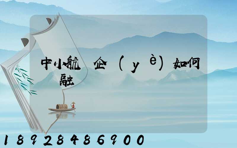中小航運企業(yè)如何應對融資難