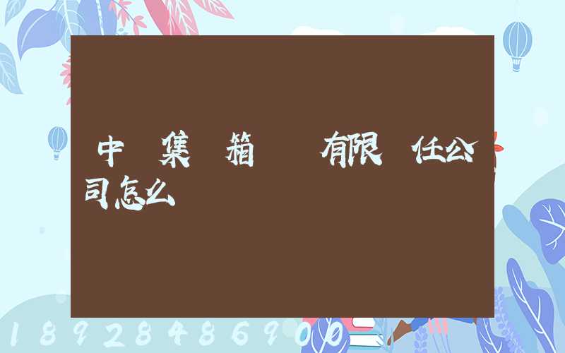 中鐵集裝箱運輸有限責任公司怎么樣