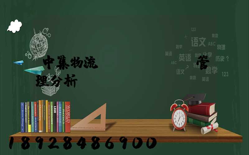 中集物流運(yùn)輸管理分析