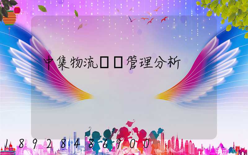 中集物流運輸管理分析