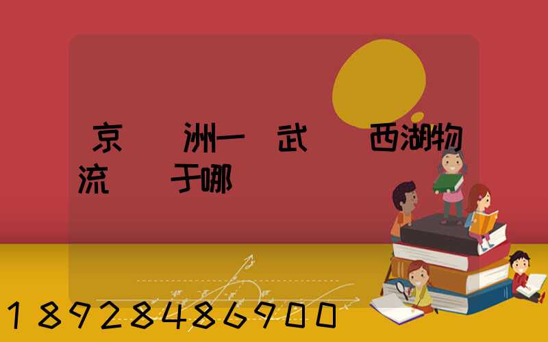 京東亞洲一號武漢東西湖物流園屬于哪個區