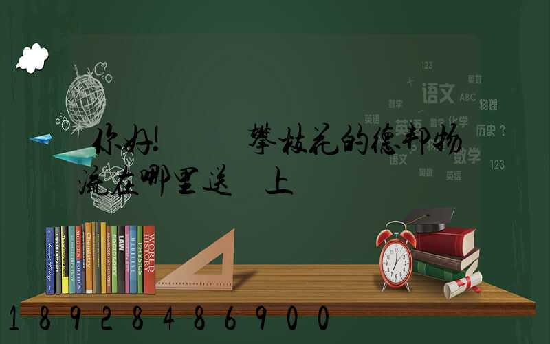 你好!請問攀枝花的德邦物流在哪里送貨上門嗎