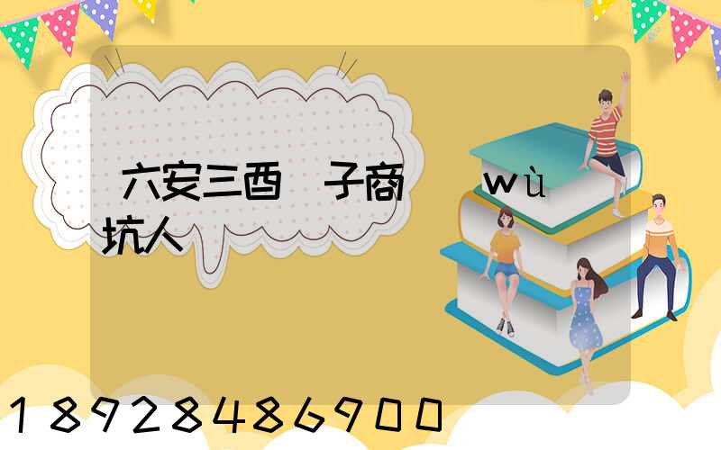 六安三酉電子商務(wù)坑人嗎