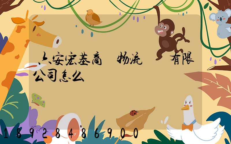 六安宏基商貿物流開發有限公司怎么樣