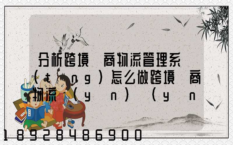 分析跨境電商物流管理系統(tǒng)怎么做跨境電商物流運(yùn)營(yíng)方案