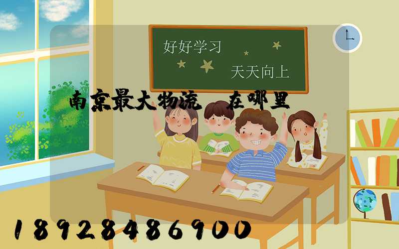 南京最大物流園在哪里