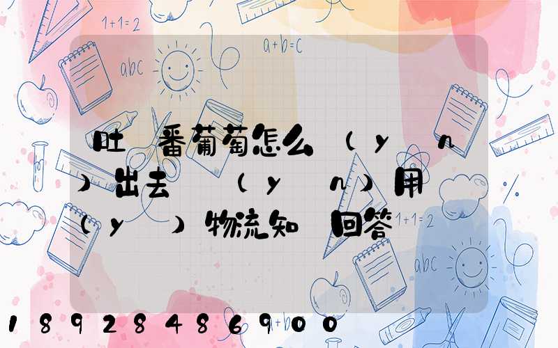 吐魯番葡萄怎么運(yùn)出去請運(yùn)用專業(yè)物流知識回答