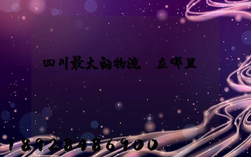 四川最大的物流園在哪里