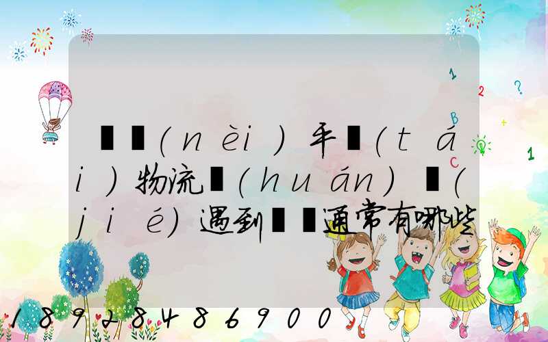 國內(nèi)平臺(tái)物流環(huán)節(jié)遇到問題通常有哪些因素