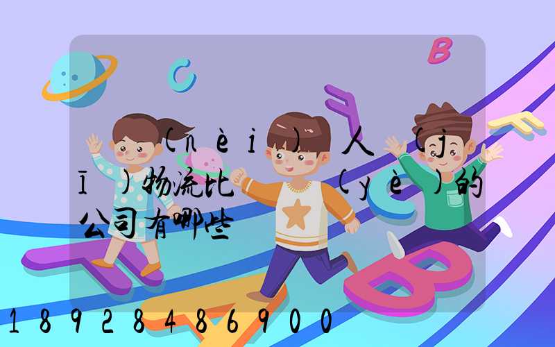 國內(nèi)無人機(jī)物流比較專業(yè)的公司有哪些